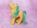 05 My Little Pony 05 Yellow Ponies (02).jpg